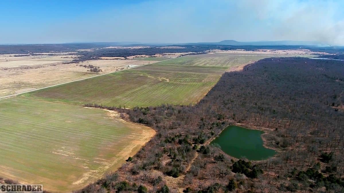 REAL ESTATE AUCTION 1,000+/ ACRES OFFERED IN 10 TRACTS IN PITTSBURG