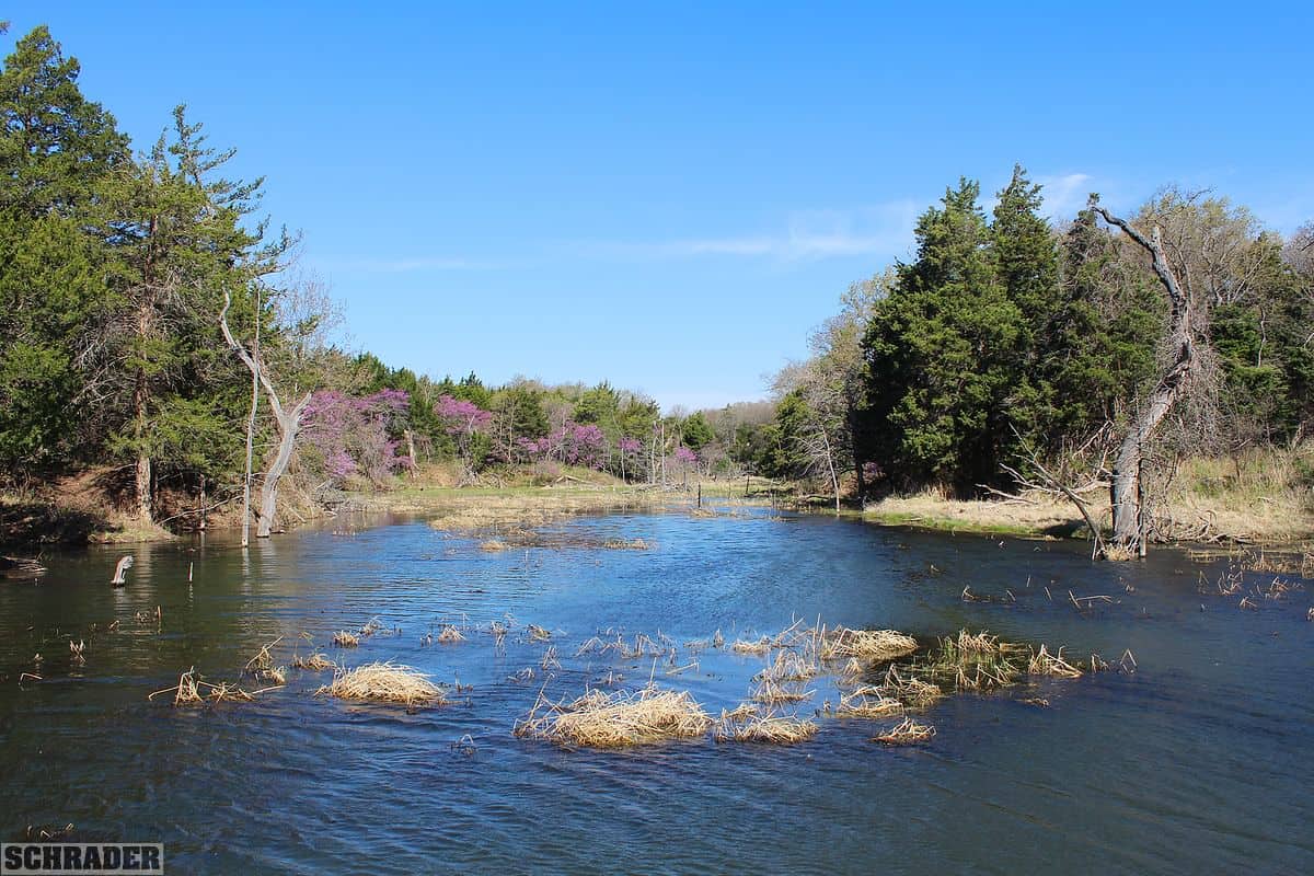 OKLAHOMA LAND AUCTION, 74+/ ACRES OFFERED IN 1 TRACT Brent Wellings