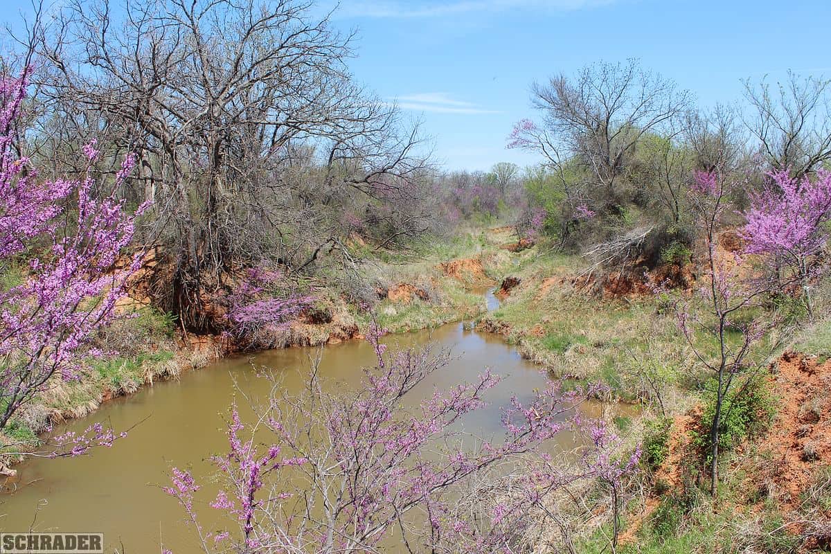 OKLAHOMA LAND AUCTION, 170+/ ACRES OFFERED IN 1 TRACT Brent Wellings