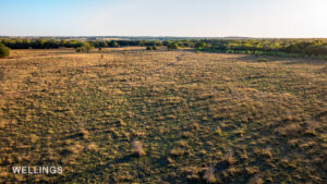 Bird’s-eye view of pasture and timber on 158± acres just outside Perkins city limits