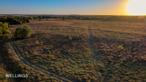 Bird’s-eye view of pasture and timber on 158± acres just outside Perkins city limits