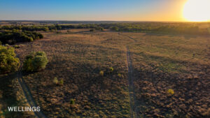 Bird’s-eye view of pasture and timber on 158± acres just outside Perkins city limits