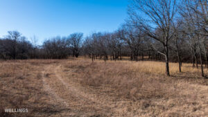 Aerial image of oak flats and native grassland at The Floyd Ranch in Garvin County OK
