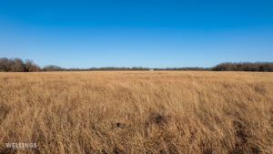 Wide aerial showing ranch boundary and grass pastures of The Floyd Ranch