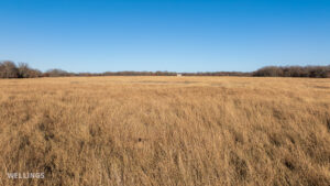 Native grass pasture and fence line at The Floyd Ranch in Oklahoma