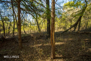 Whitetail deer sign and great hunting on Lost Creek 158 Perkins, OK