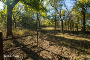 Perimeter fencing and pastureland entry on Lost Creek 158