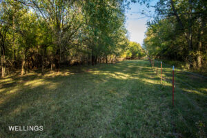 Perimeter fencing and pastureland entry on Lost Creek 158
