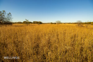 Open pasture with gentle terrain and views over Lost Creek 158