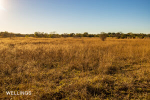 Open pasture with gentle terrain and views over Lost Creek 158