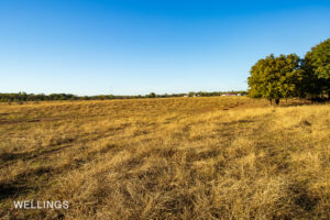Open pasture with gentle terrain and views over Lost Creek 158