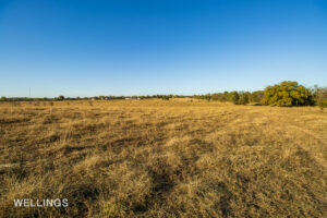 Open pasture with gentle terrain and views over Lost Creek 158