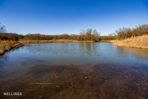 Stocked pond shoreline with wildlife habitat at The Floyd Ranch, OK