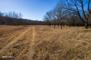 Native grass pasture and fence line at The Floyd Ranch in Oklahoma