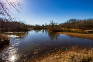 Stocked pond shoreline with wildlife habitat at The Floyd Ranch, OK