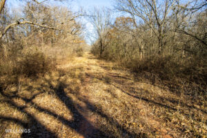 Interior ranch road and perimeter fencing on The Floyd Ranch, Garvin County