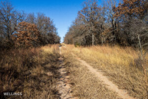 Interior ranch road and perimeter fencing on The Floyd Ranch, Garvin County