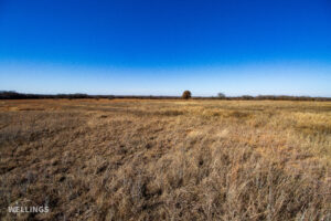 Native grass pasture and fence line at The Floyd Ranch in Oklahoma