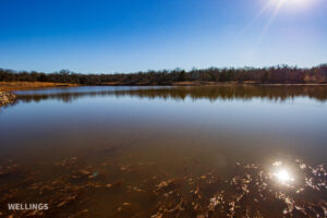 Stocked pond shoreline with wildlife habitat at The Floyd Ranch, OK