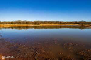 Stocked pond shoreline with wildlife habitat at The Floyd Ranch, OK