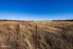 Native grass pasture and fence line at The Floyd Ranch in Oklahoma