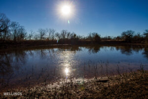 Stocked pond shoreline with wildlife habitat at The Floyd Ranch, OK