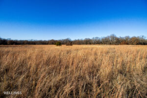 Native grass pasture and fence line at The Floyd Ranch in Oklahoma