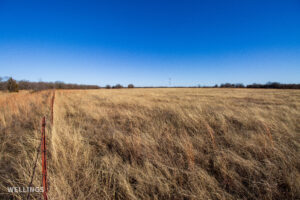 Native grass pasture and fence line at The Floyd Ranch in Oklahoma