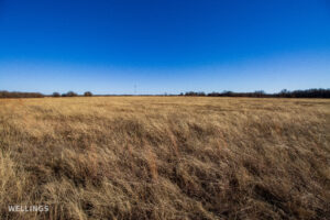 Native grass pasture and fence line at The Floyd Ranch in Oklahoma
