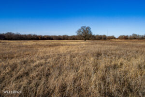 Native grass pasture and fence line at The Floyd Ranch in Oklahoma