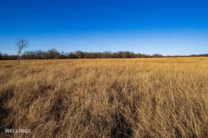 Native grass pasture and fence line at The Floyd Ranch in Oklahoma