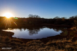 Stocked pond shoreline with wildlife habitat at The Floyd Ranch, OK