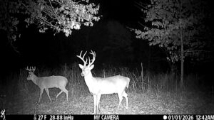 Wildlife on The Floyd Ranch native habitat captured by trail camera