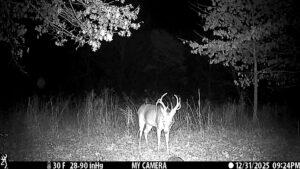Wildlife on The Floyd Ranch native habitat captured by trail camera