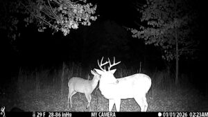 Trail camera image of whitetail deer in native cover at The Floyd Ranch