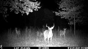 Trail camera image of whitetail deer in native cover at The Floyd Ranch